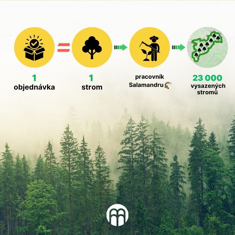 Vysazování stromu 